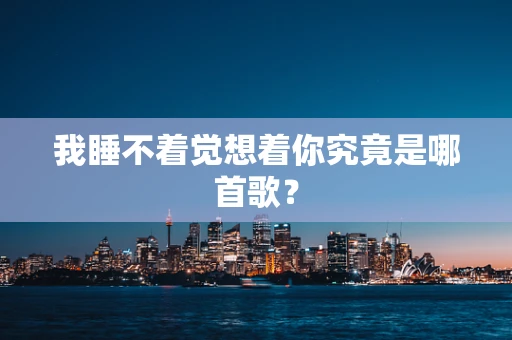 我睡不着觉想着你究竟是哪首歌？