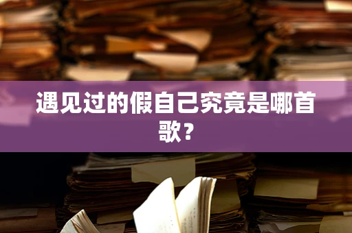 遇见过的假自己究竟是哪首歌？