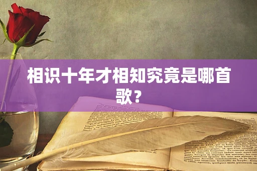 相识十年才相知究竟是哪首歌？