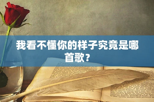 我看不懂你的样子究竟是哪首歌？