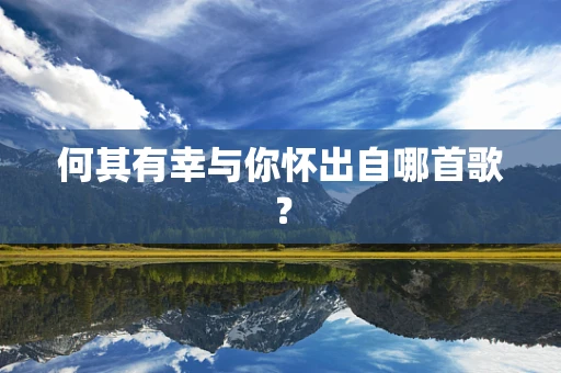 何其有幸与你怀出自哪首歌？