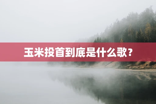 玉米投首到底是什么歌？