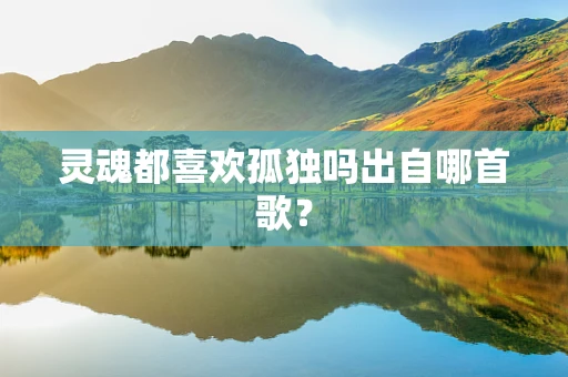 灵魂都喜欢孤独吗出自哪首歌？