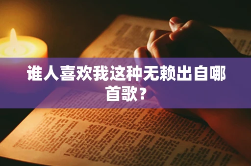谁人喜欢我这种无赖出自哪首歌？