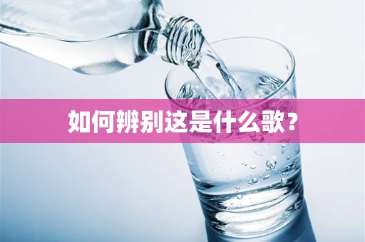 如何辨别这是什么歌？
