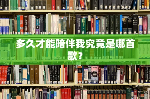 多久才能陪伴我究竟是哪首歌？