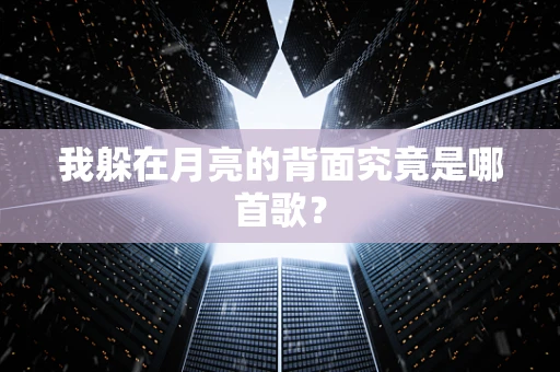 我躲在月亮的背面究竟是哪首歌？