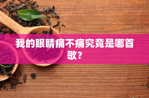 我的眼睛痛不痛究竟是哪首歌？