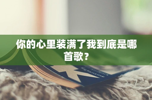 你的心里装满了我到底是哪首歌？