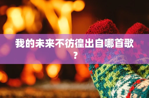 我的未来不彷徨出自哪首歌？