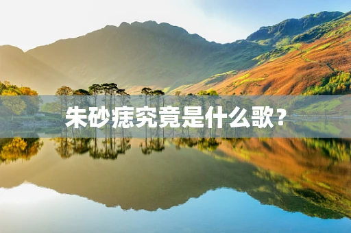 朱砂痣究竟是什么歌？