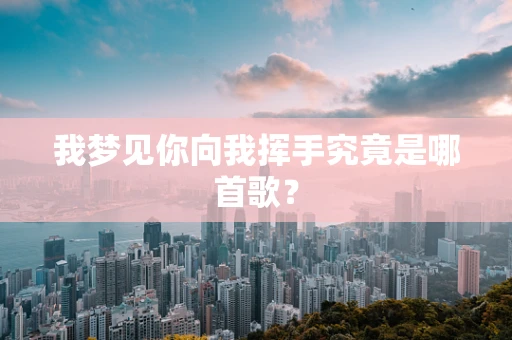 我梦见你向我挥手究竟是哪首歌？