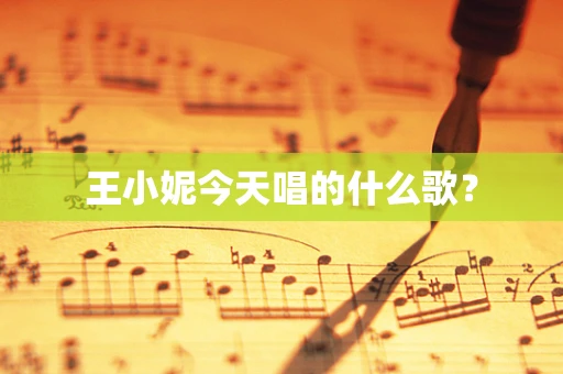 王小妮今天唱的什么歌？