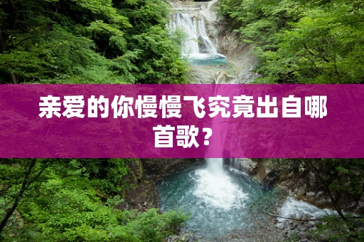 亲爱的你慢慢飞究竟出自哪首歌？
