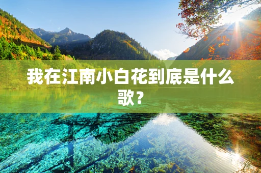 我在江南小白花到底是什么歌？