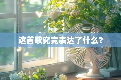 这首歌究竟表达了什么？