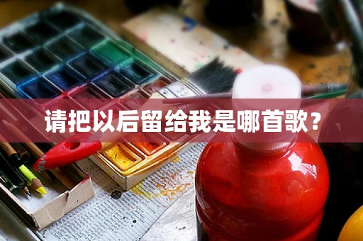 请把以后留给我是哪首歌？