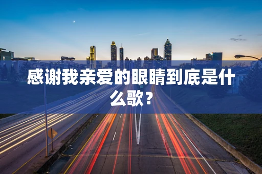 感谢我亲爱的眼睛到底是什么歌？