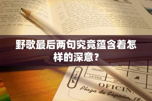 野歌最后两句究竟蕴含着怎样的深意？