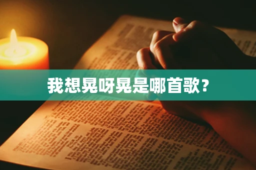 我想晃呀晃是哪首歌？
