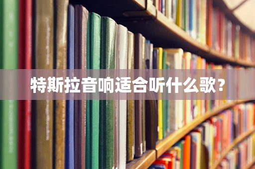 特斯拉音响适合听什么歌？