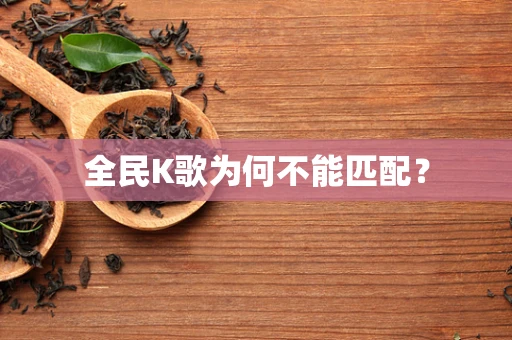 全民K歌为何不能匹配？