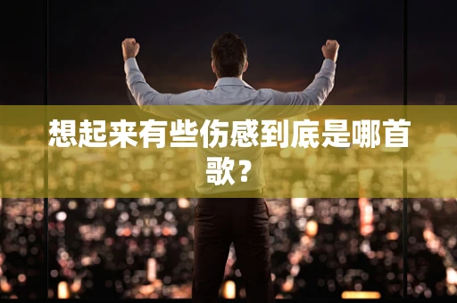 想起来有些伤感到底是哪首歌？
