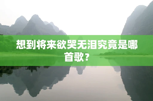想到将来欲哭无泪究竟是哪首歌？