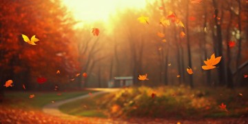 秋天模样你的心房究竟是哪首歌？