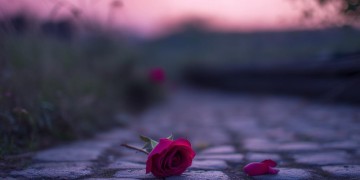 爱情到了尽头究竟是哪首歌？