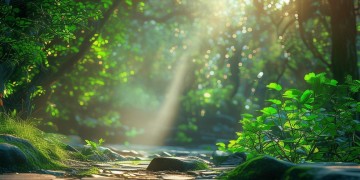 看见初始阳光出自哪首歌？