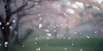放下你的人吧出自哪首歌？