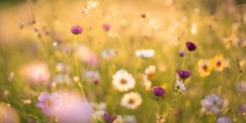 有你才会更甜蜜哟究竟是哪首歌？