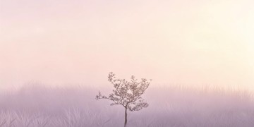 呼唤着黎明出自哪首歌？