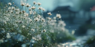 你就跟我走究竟是哪首歌？