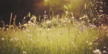 经历生死的恋情究竟是哪首歌？