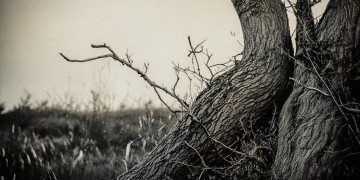 伤痕累累歌词出自哪首歌？