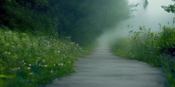 平安路上守护人究竟是什么歌？