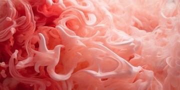 分不清脸红和心动到底是哪首歌？