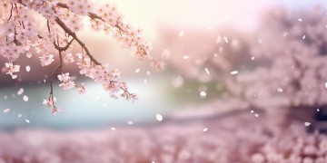 曾经离我远去究竟是哪首歌？