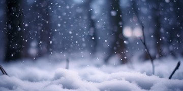 雪花纷纷已坠落究竟是什么歌？