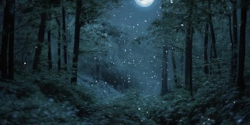 慢长夜夜夜夜漫长究竟出自哪首歌？