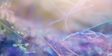 我们之间的永恒究竟是哪首歌？