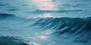 北方的海好看吗出自哪首歌？