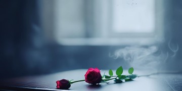 你闭上眼睛亲吻了我究竟是哪首歌？