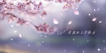 我会永远祝福你出自哪首歌？