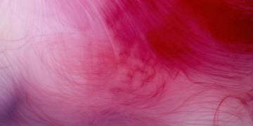 爱你永相随究竟出自哪首歌？