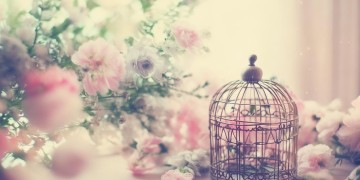 像个小宝贝这句歌词出自哪首歌呢？