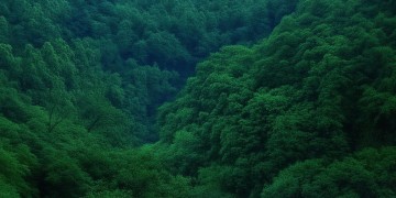 退到无路可退究竟是什么歌？