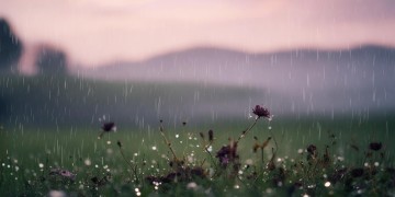 多少风雨多少泪究竟是哪首歌？